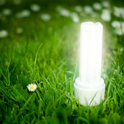 portfolio-eco-image-11