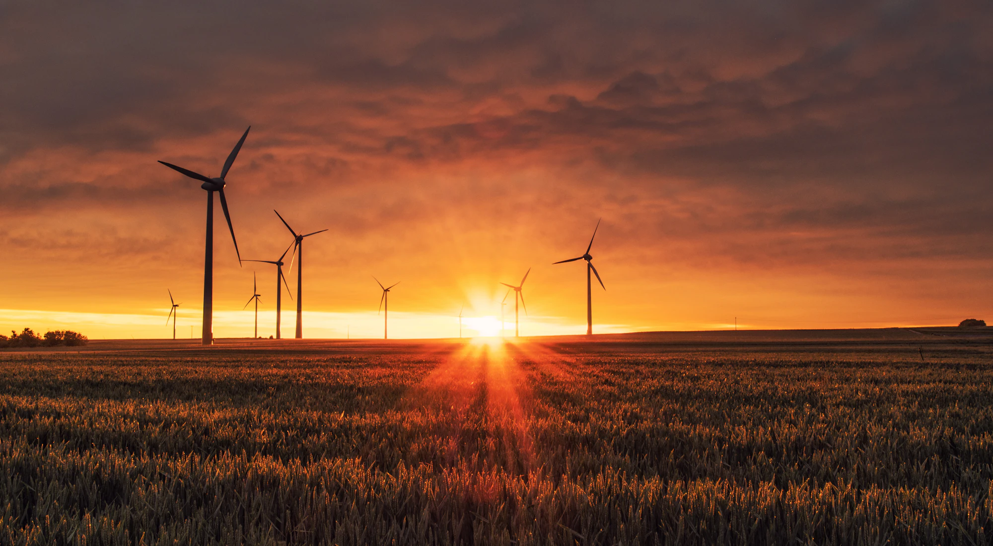 Windräder auf einem Feld im Sonnenlicht