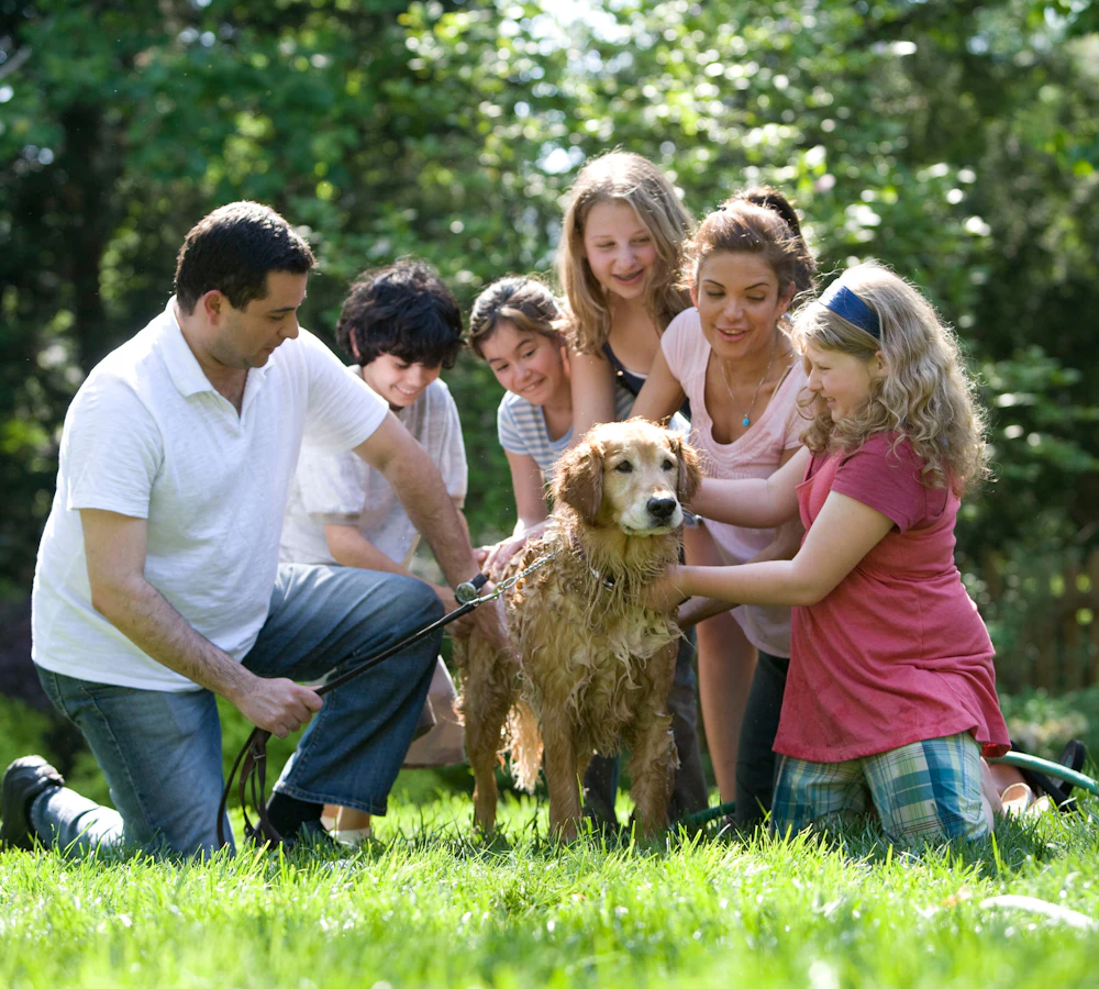 Familie wäscht ihren Golden Retriever im Garten